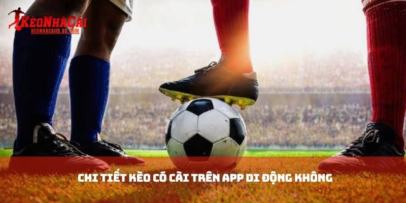 Chi tiết kèo có cài trên app di động không
